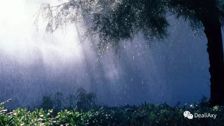 8869373-af9b8bbb79f3afbf