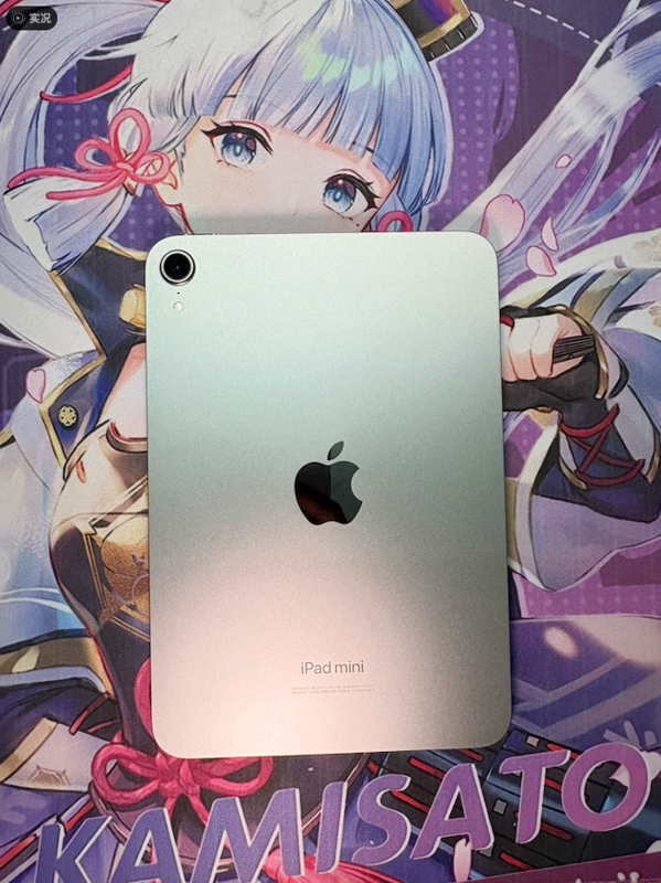 image-20251026150446118