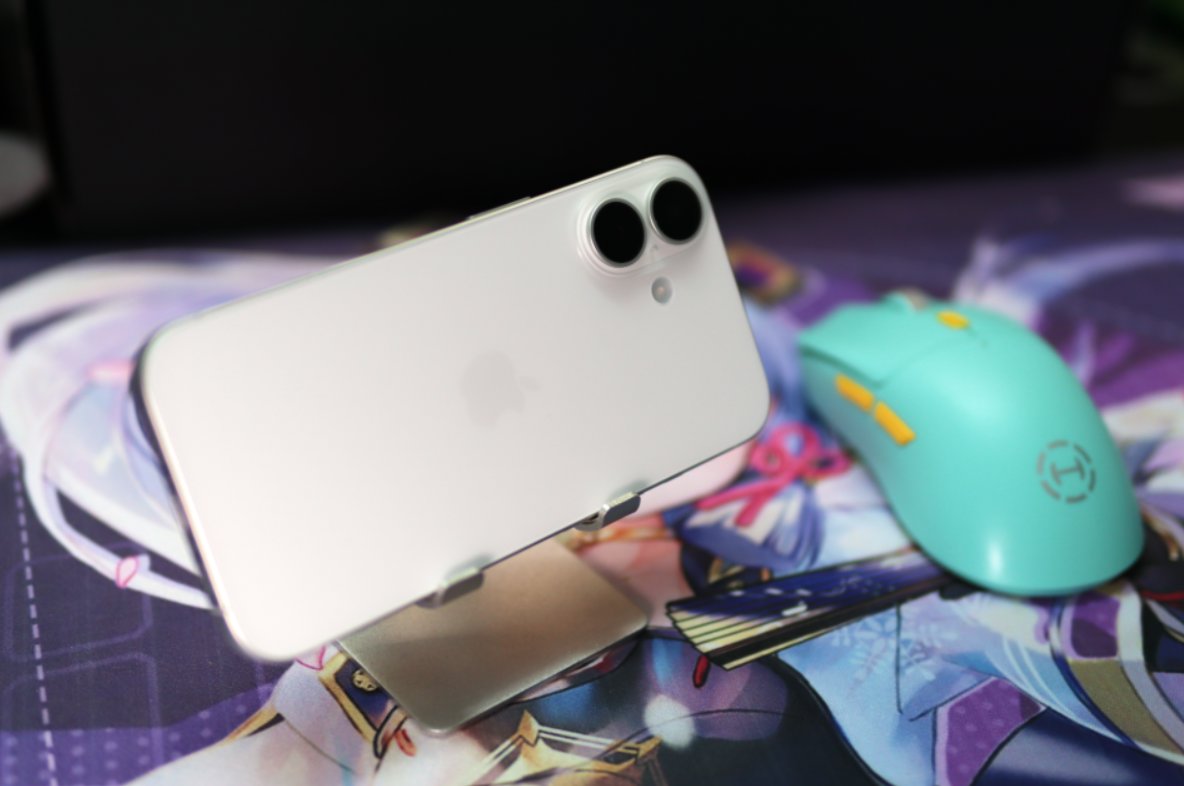 image-20251021225036026