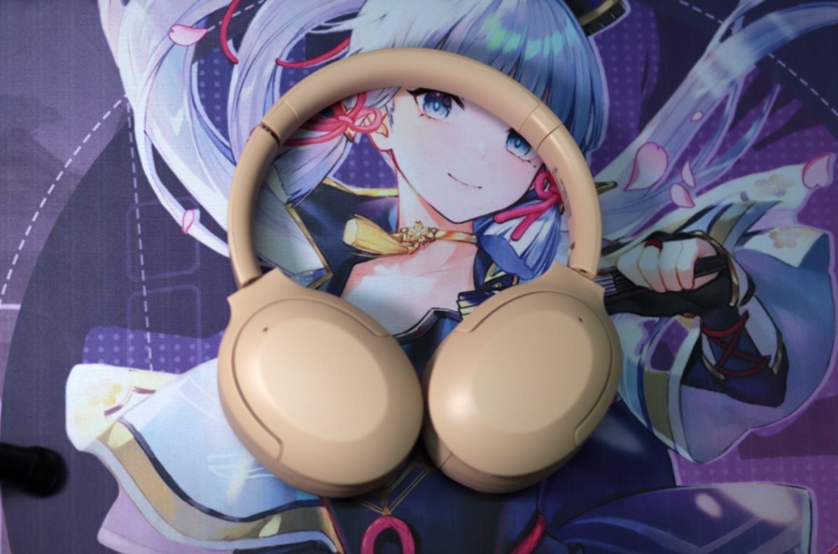 image-20251019224559816