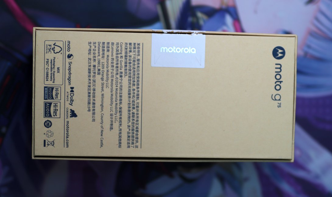 image-20251017224351282