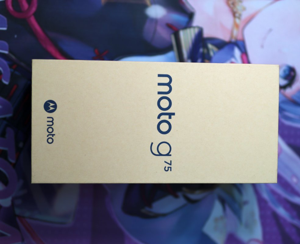 image-20251017224251959