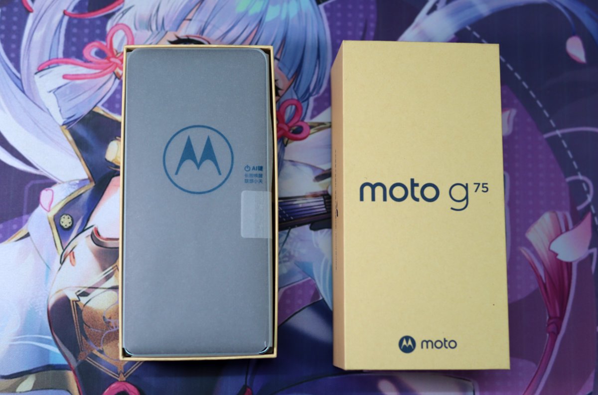 image-20251017224613410