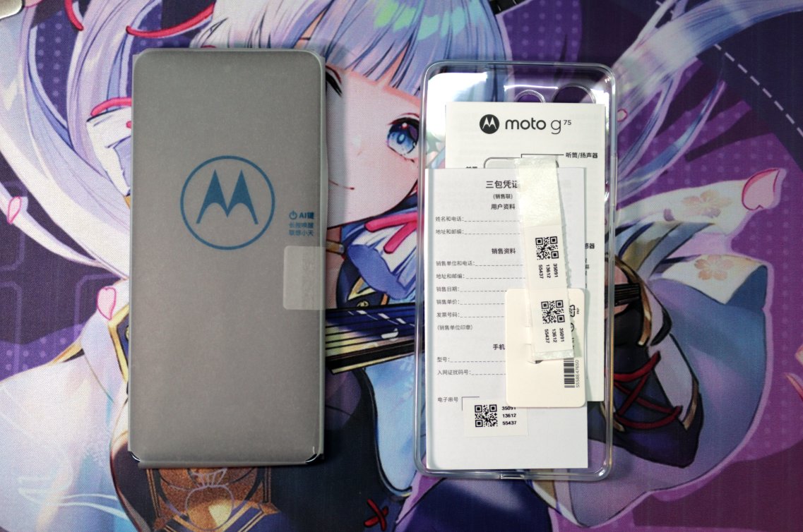 image-20251017224918291